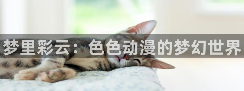 风车动漫在线观看手机：梦里彩云：色色动漫的梦幻世界