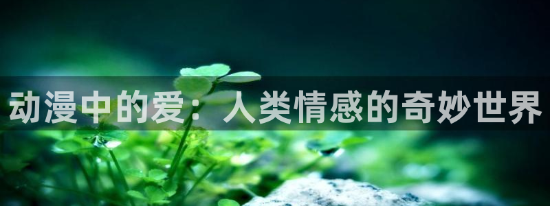 竞女风车动漫：动漫中的爱：人类情感的奇妙世界