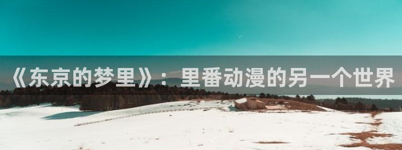 风车动漫9：《东京的梦里》：里番动漫的另一个世界
