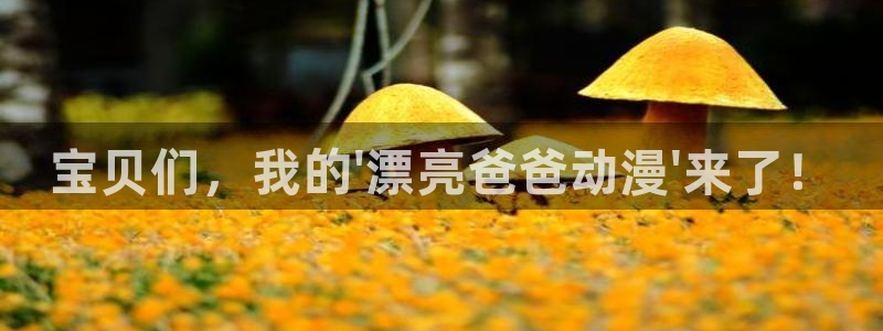 风车动漫在线观看动漫的注意事项：宝贝们，我的\'漂亮爸爸动漫\'来了！